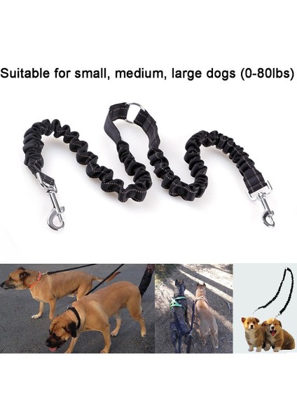 Bungee Çift Köpek Çoğaltıcı Kurşun, Hiçbir Arapsaçı Iki 2 Köpek Tasma ve Splitter Yürüyüş Yavru Küçük Orta Büyük Köpek (Siyah) (Yurt Dışından)