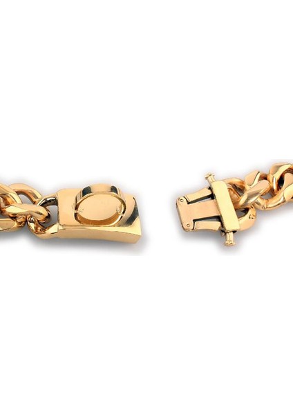 Güçlü Metal Köpek Zincir Yaka Paslanmaz Çelik Pet Eğitim Boğazı Yaka Büyük Köpekler Pitbull Bulldog Gümüş Gold Gösterisi Yaka (15X35 Cm) (Yurt Dışından) fırsatları