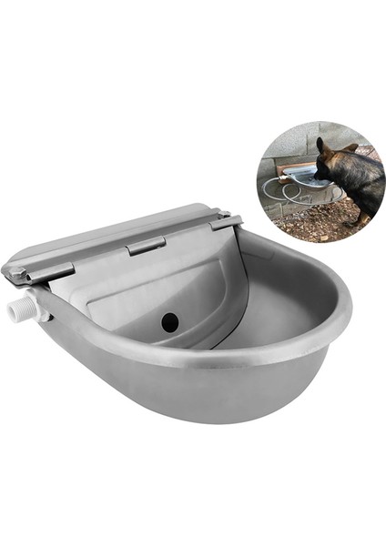 Büyük Pet Köpek Açık Içme Çeşmesi 304 Paslanmaz Çelik Su Yürek Atlar Keçi Koyun Şamandıra Kase Otomatik Waterer Sığır | Köpek Besleme (Yurt Dışından) modelleri