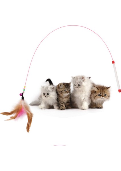 Sıcak 10 Adet Pet Kedi Oyuncak Sevimli Tasarım Çelik Tel Tüy Teaser Değnek Plastik Oyuncak Kediler Için Renk Çoklu Ürünler Pet Ürün | Kedi Oyuncakları (Rastgele Renk) (Yurt Dışından)