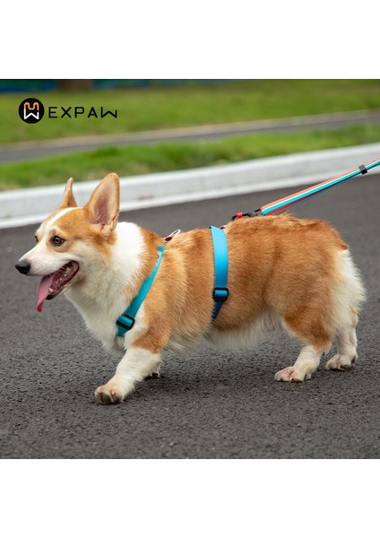 Ayarlanabilir Naylon Köpek Kablo Demeti Moda Göğüs Yelek Yok Küçük Orta Köpekler Için Pet Yavru Kablo Demeti Corgi Köpek Malzemeleri | Koşumlar (Yurt Dışından)