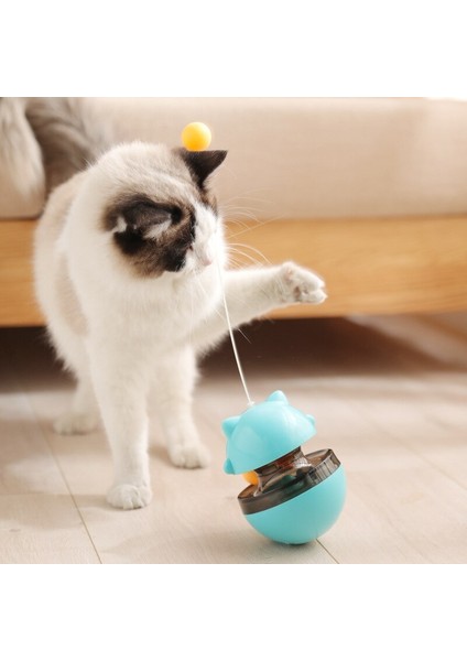 Komik 3 In1 Oyun Pet Kedi Ilginç Oyuncak Tumbler Kediler Pistler Iplik Top Oyuncaklar Bulmaca Oyna Kittens Gıda Tunel Ürün | Kedi Oyuncakları (Yeşil) (Yurt Dışından) fiyatları