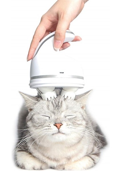 Elektrikli Kedi Oyuncak Pet Başkanı Masaj Kediler El Masaj Fırçası Otomatik Bakım Araçları Derin Doku Stres Yayın Için Yoğurma | Kedi Oyuncakları (Yurt Dışından)