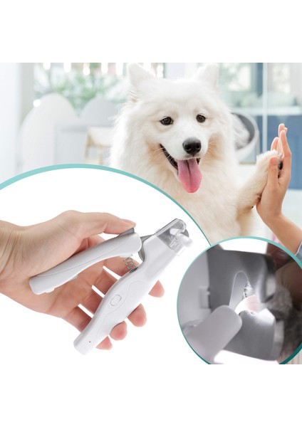 Tımar Seti Aracı Pet Tırnak Kesme Köpek Pençe Makas Tırnak Giyotin Kediler Tırnak Dosya Giyotin Değirmeni Pet Malzemeleri Kediler Için Hayvan | Köpek Tırnak Makası (Beyaz) (Yurt Dışından) fırsatları