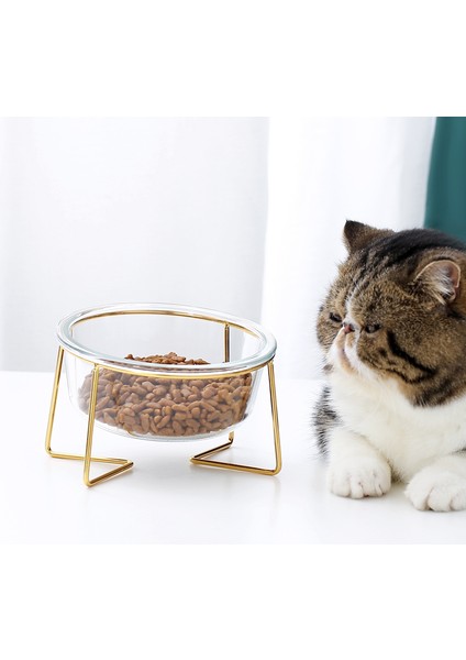 Kedi Kase Cam Su Içme Drinker Besleyici Gıda Besleme Dağıtıcı Sohbetler Köpekler Kediler Için Mallar Aksesuarlar Hayvan Malzemeleri Kedi Besleme ve sulama Malzemeleri (17.8cm) (Yurt Dışından) fırsatları