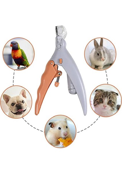 Köpekler Pet Tırnak Makası Büyütme Köpek Tırnak Makas Güvenli Kedi Pet Tımar Giyotin Pençe Bakım Aracı LED Işık ile Steal Bıçaklar | Köpek Tırnak Makası (Yurt Dışından) fırsatları