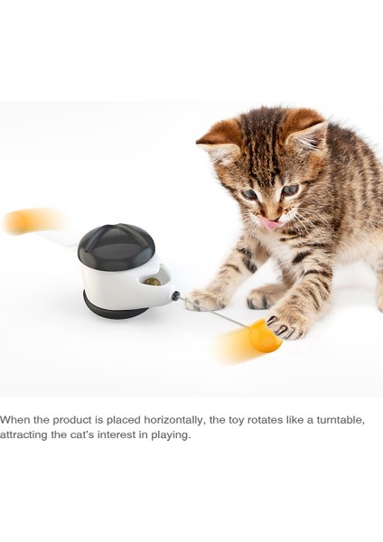 Kediler Için Tumbler Salıncak Oyuncaklar Yavru Kedi Interaktif Denge Araba Kedi Kovalayan Oyuncak Catnip Chasing Oyuncak Dropshipping Için Komik Pet Ürünleri | Kedi Oyuncakları (Yeşil) (Yurt Dışından)