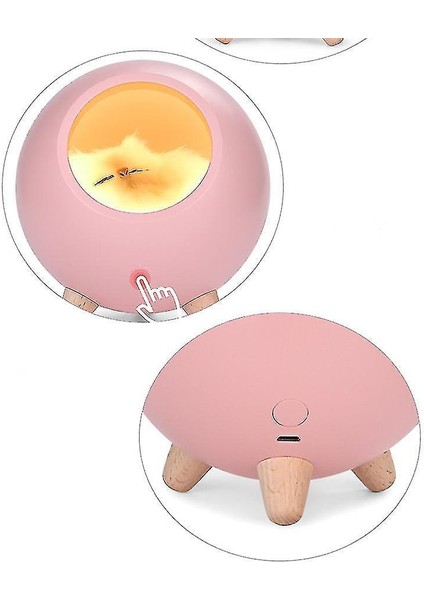 Gece Işıkları Ortam Aydınlatma Sevimli Uyku Kedi Gece Lambası Kızlar Yatak Odası Gece Lambası USB Yatak Odası LED Karikatür Masa Lambası Beyaz (Yurt Dışından)