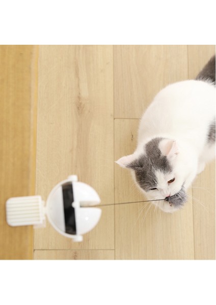 Elektrikli Kedi Kaldırıcı Topu Interaktif Oyuncak Akıllı Pet Kedi Komik Atlama Topu Otomatik Kaldırma Yo Yo Topları Kedi Köpekler Kitaplar Için | Kedi Oyuncakları (Yurt Dışından) fiyatları
