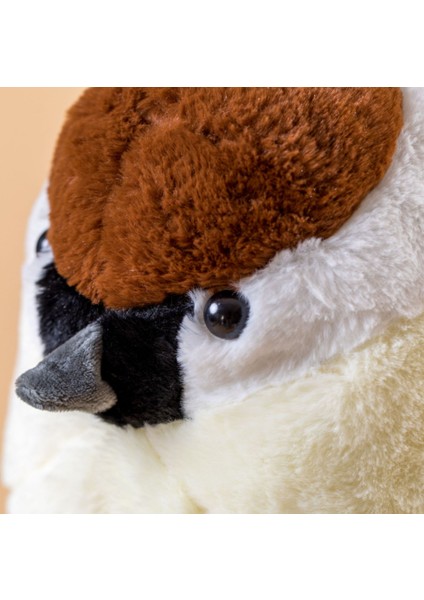 50 cm Gerçekçi Hayvan Kuş Sparrow Peluş Oyuncaklar Dolması Serçe Bebekler Yastık Çocuk Çocuk Bebek Oyuncakları Erkek Kız Doğum Günü Hediyesi | Doldurulmuş ve peluş Hayvanlar (Yurt Dışından) fiyatları