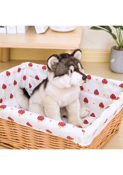 Gerçekçi Kurt Köpek Husky Yavru Peluş Dolması Hayvan Bebek Bebek Çocuk Kurt Lover Doğum Günü Hediyesi Ev Dükkanı Dekorasyon | Doldurulmuş ve peluş Hayvanlar (Yurt Dışından)