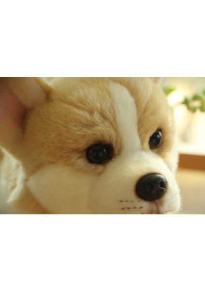 Bebek Peluş Oyuncak Peluş Kısa Bacaklı Corgi Köpek Simülasyon Köpek Hayvan Oyuncaklar (Yurt Dışından)