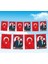 Ipe Dizili Atatürk ve Türk Bayrağı 50 METRE50X75 cm 1