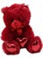 Parlak Kalpli Peluş Ayı 30 cm - Kırmızı 1