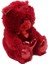 Parlak Kalpli Peluş Ayı 30 cm - Kırmızı 2