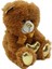 Parlak Kalpli Peluş Ayı 30 cm - Kahverengi 2