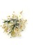 Damat Kahve Fincanı Tepsisi (1 Adet) Beyaz - 53177 5