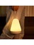 Resepsiyon Masa Lambası Taşınabilir LED Gece Işık Uzaktan Kumanda Kısılabilir Zamanlayıcı USB Şarj Edilebilir Yatak Odası Başucu Lambası Açık Fener | LED Masa Lambaları (Yurt Dışından) 3