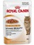 Intense Beauty In Jelly Kedi Konservesi 85 gr 1