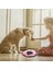 Pet Koklama Mat Snuffle Mat Pet Köpek Bulmaca Oyuncaklar Yavaş Besleme Gıda Mat Köpekler Için Nosework Köpek Kase Mat Kedi Yavrusu Keyifli | Evler, Kennels kalemler (Yurt Dışından) 3