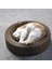 Kediler Scratcher Tahtası Kedi Oluklu Kağıt Oyuncaklar Kurulu Yavru Scratcher Giymek Direnç Çizik Yuva Ovalar Pet Malzemeleri | Mobilya ve çizikler (Yurt Dışından) 3