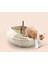 Açık Üst Kedi Çöp Kutusu Kiti Scoop Kitty ile Kepçe Kediği Çöp Kutusu Pan Kapalı Muhafaza Anti Splash Pet Temizlik Malzemeleri | Litter houshreaking (Yurt Dışından) 2