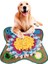 50X50 cm Pet Köpek Snuffle Mat Burun Kokusu Eğitim Sniffing Pad Yavaş Besleme Kase Gıda Dağıtıcı Halı Stres Puzzle Rahatlatmak | Köpek Oyuncakları (Yurt Dışından) 2