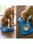 Silikon Kemik Çift Köpek Kase Pet Pad Pet Besleme Kase Kaymaz Sızdırmaz Çift Kullanım Pet Mat Blue | Köpek Besleme (Yurt Dışından) 4