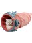 25 * 56 cm Büyük Uzun Kediler Tünel Oyuncaklar Saf Renk Süet Malzeme Yavru Katlanabilir Pet Malzemeleri Kedi Tüneli Sebze Şekli Sıcak Pet Tüneli | Kedi Oyuncakları (Kırmızı) (Yurt Dışından) 1