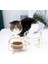 Kedi Kase Cam Su Içme Drinker Besleyici Gıda Besleme Dağıtıcı Sohbetler Köpekler Kediler Için Mallar Aksesuarlar Hayvan Malzemeleri Kedi Besleme ve sulama Malzemeleri (17.8cm) (Yurt Dışından) 2