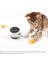 Kediler Için Tumbler Salıncak Oyuncaklar Yavru Kedi Interaktif Denge Araba Kedi Kovalayan Oyuncak Catnip Chasing Oyuncak Dropshipping Için Komik Pet Ürünleri | Kedi Oyuncakları (Yeşil) (Yurt Dışından) 4