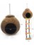 Doğal Hindistan Cevizi Kabuğu Kuş Nest House Hut Kafes Besleyici Pet Papağan Asılı Ipi Asılı Oyuncak ile Toy Stokçlar Sparrows | Kuş Kafesleri ve yuvalar (Yurt Dışından) 2