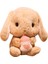 32 cm Sevimli Dolması Tavşan Peluş Yumuşak - Kahverengi (Yurt Dışından) 1