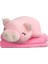 40 cm Güzel Yumuşak Aşağı Pamuk Domuz Peluş Bebek Dolması Pembe Domuz Bebek Kız Arkadaşı Için Bebek Yazılımı Yastık Hediye | Doldurulmuş peluş Hayvanlar (Pembe) (Yurt Dışından) 1