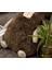 Nordic Tarzı Koyun Geyik Ayı Yastık Yastık Pamuk Hayvan Peluş Oyuncaklar Çocuk Oyuncakları Bebek Odası Dekorasyon Noel Hediyesi | Doldurulmuş ve peluş Hayvanlar (Yurt Dışından) 3