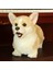 Bebek Peluş Oyuncak Peluş Kısa Bacaklı Corgi Köpek Simülasyon Köpek Hayvan Oyuncaklar (Yurt Dışından) 4
