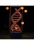 3D Soyut Dna LED Gece Lambası 7 Renk Değişimi LED Tablosu (Yurt Dışından) 2