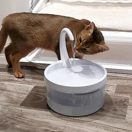 kedi su çeşmesi