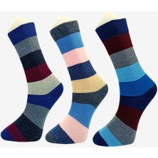 Shocks 3'lü Erkek Özel Seri Renkli Soket Çorap Kutusu
