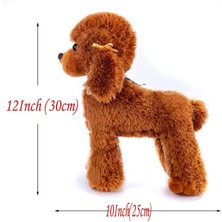 Xinhang Peluş Poodle Köpek Oyuncak - Kahverengi (Yurt Dışından)