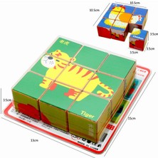 Zsykd 2 Set 9 Küp Altı Taraflı Desen Bulmaca 3D Ahşap Oyuncaklar (Meyve) (Yurt Dışından)