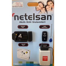 Netelsan Elektromekanik Akıllı Kilit + Kartlı Geçiş Ünitesi  Seti