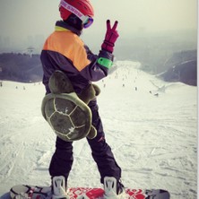 Segolike Kayak Koruyucu Dişli Kayak Snowboard Diz Dirsek Pedleri Butt Koruma Guard Kaplumbağa 2xl (Yurt Dışından)