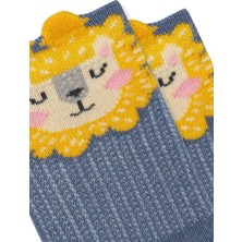 Bross 3lü 3D Aslan Desenli Patik Bebek Çorabı