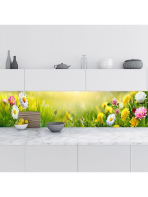 Sticker Art Mutfak Tezgah Arası Folyo Fayans Kaplama Folyosu Papatyalar 60X300 cm