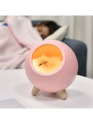 Xinh 1 Adet Kedi Evi Gece Lambası Masa Işık Yatak Odası Uyku Lambası USB Şarj ile Benzersiz Sevgililer Günü Noel Hediyesi | LED Masa Lambaları (Yurt Dışından)