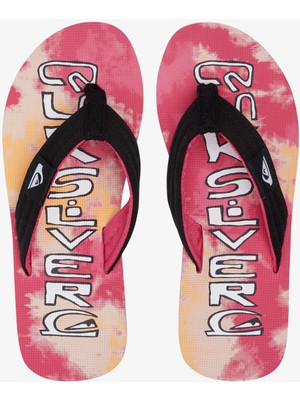 Quiksilver Molokai Layback Erkek Terlik AQYL101241