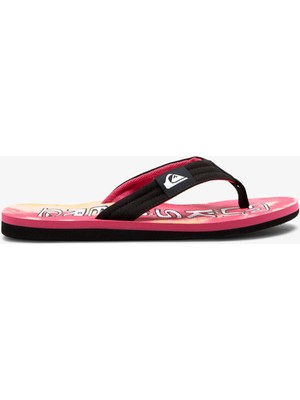 Quiksilver Molokai Layback Erkek Terlik AQYL101241