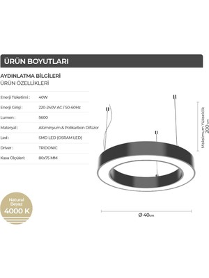 Ledhouse 40 cm Simit Dekoratif LED Sarkıt Yuvarlak Armatür Avize Aydınlatma 4000K