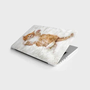 Sticker Art Laptop Sticker Bilgisayar Notebook Pc Kaplama Etiketi Şirin Kedi